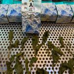 樂菁四大天王！大禹嶺100K(正港原包裝)今天開賣，限量180斤售完為止！